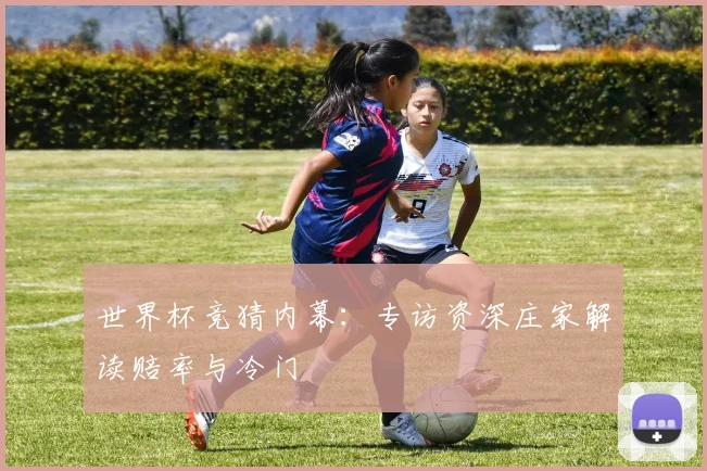 世界杯竞猜内幕：专访资深庄家解读赔率与冷门