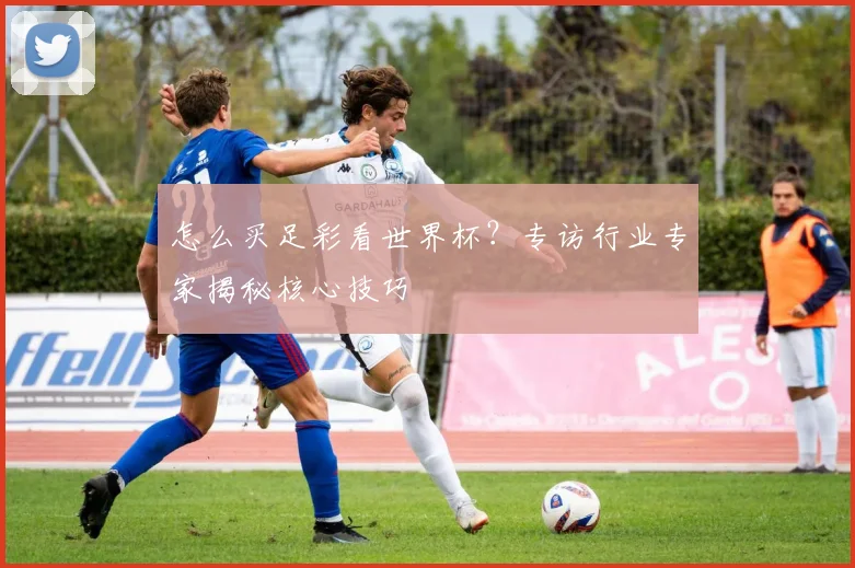 怎么买足彩看世界杯？专访行业专家揭秘核心技巧