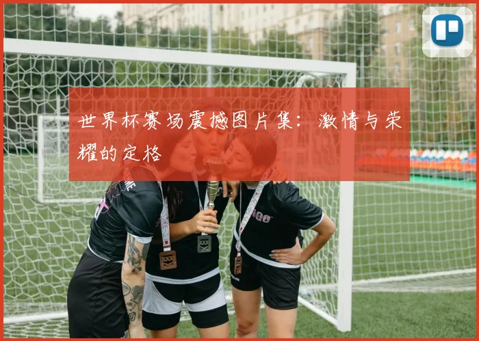 世界杯赛场震撼图片集:激情与荣耀的定格