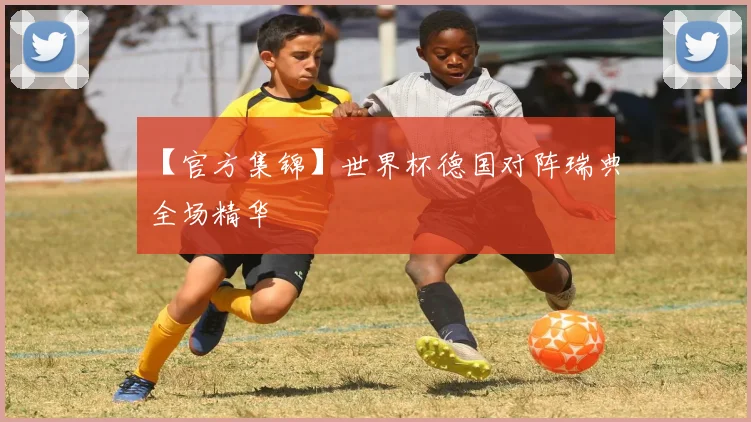 【官方集锦】世界杯德国对阵瑞典全场精华