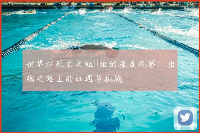 世界杯死亡之组H组的深度观察：出线之路上的机遇与挑战