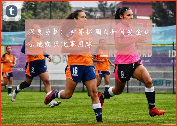 深度分析:世界杯期间如何安全合法地购买比赛用球