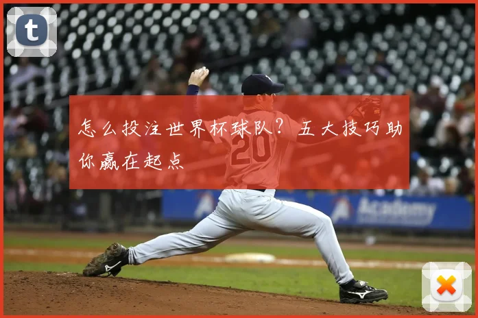 怎么投注世界杯球队？五大技巧助你赢在起点